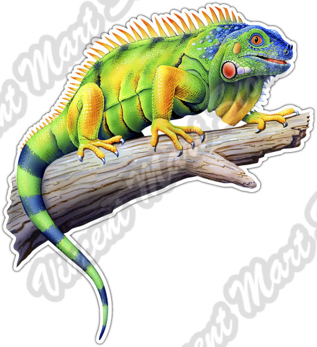 Colorful Green Iguana Lizard Reptile Miami Car Bumper Vinyl Sticker Decal 4\