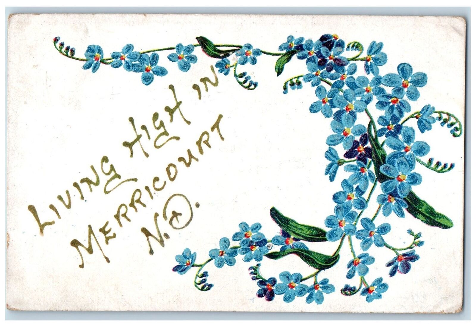 Merricourt North Dakota ND Postcard Living High Embossed Flowers Leaves 1910