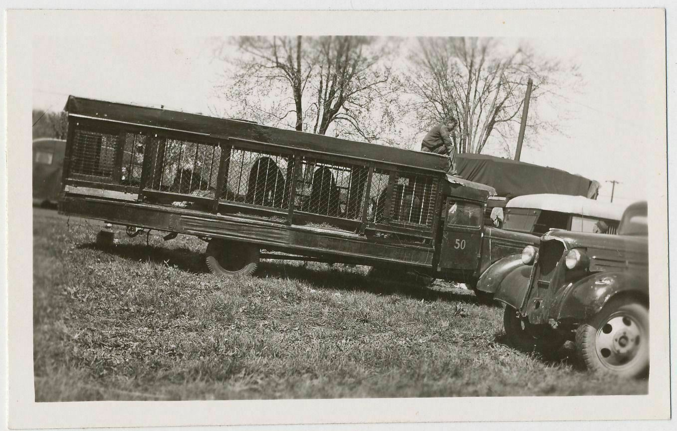 Mills Brothers Three Ring Circus Truck with Animal Cages - Vintage Photo