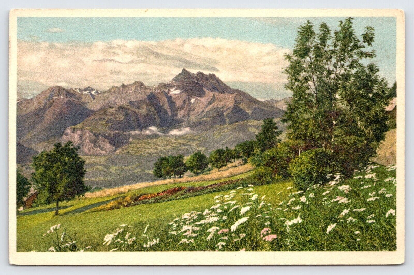 Postcard, Environs de Villars, Switzerland Mountains and Trees  P1