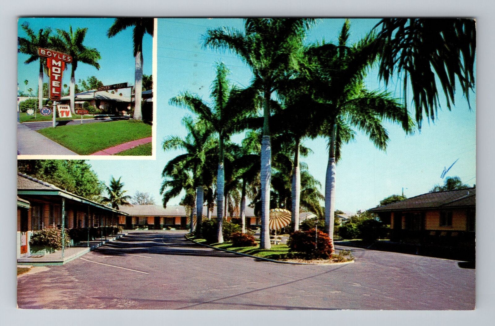 Bradenton FL-Florida, Boyles Motel, Advertising, c1964 Antique Vintage Postcard