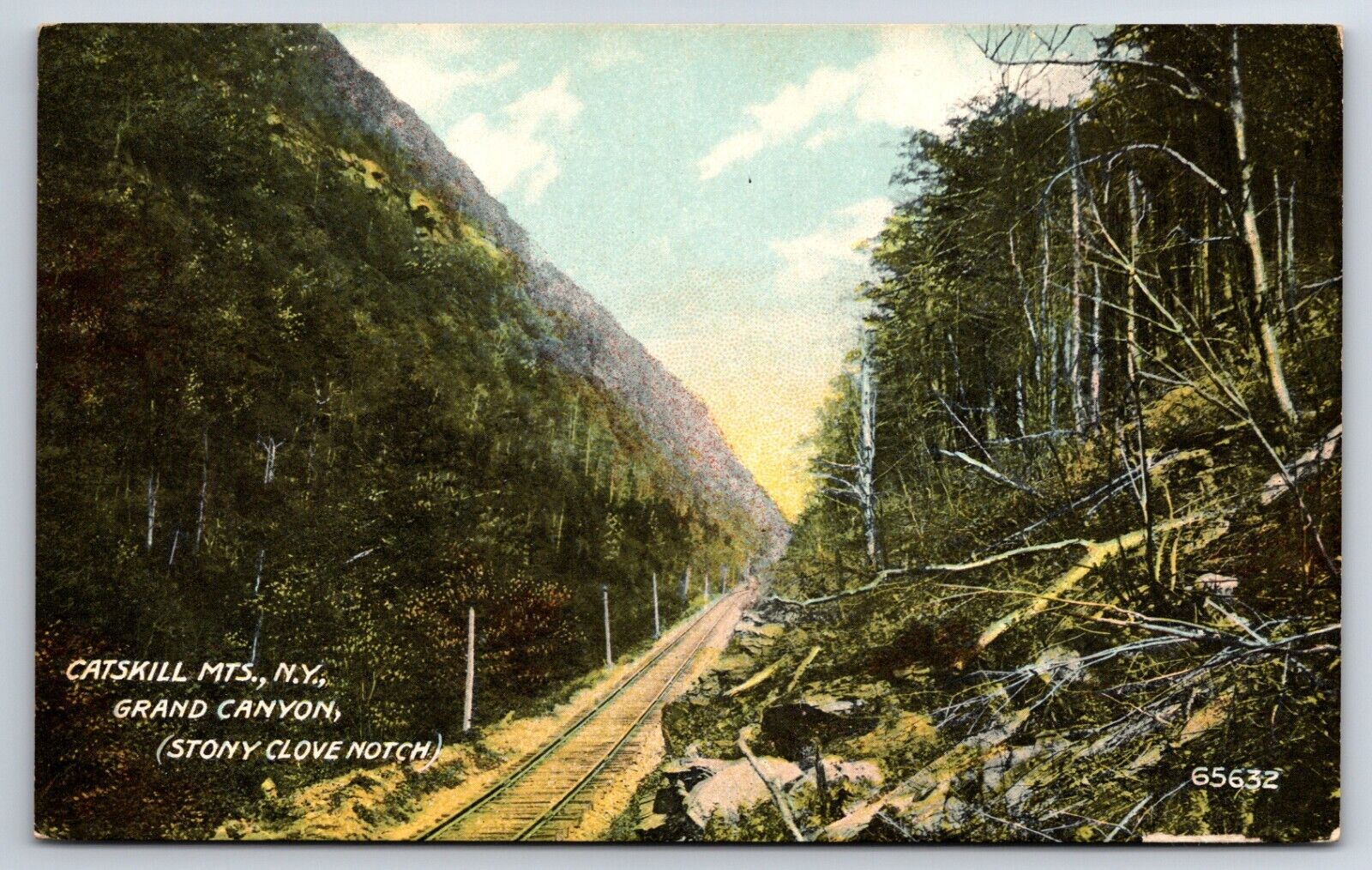 Catskill Mountains c1910\'s New York Grand Canyon Stony Clove Notch Vtg Postcard
