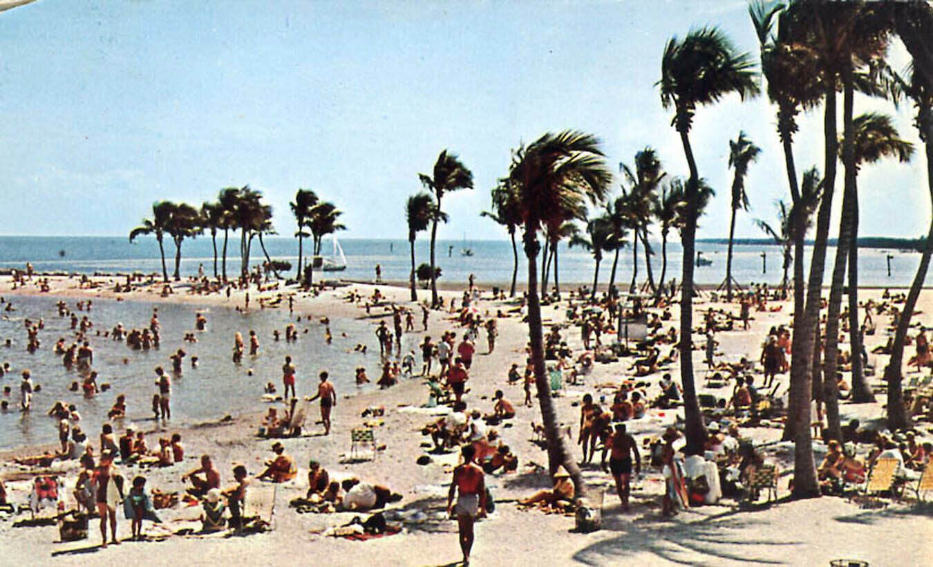 Crowded BeachMatheson Hammock Park Postcard Dade County Miami Florida