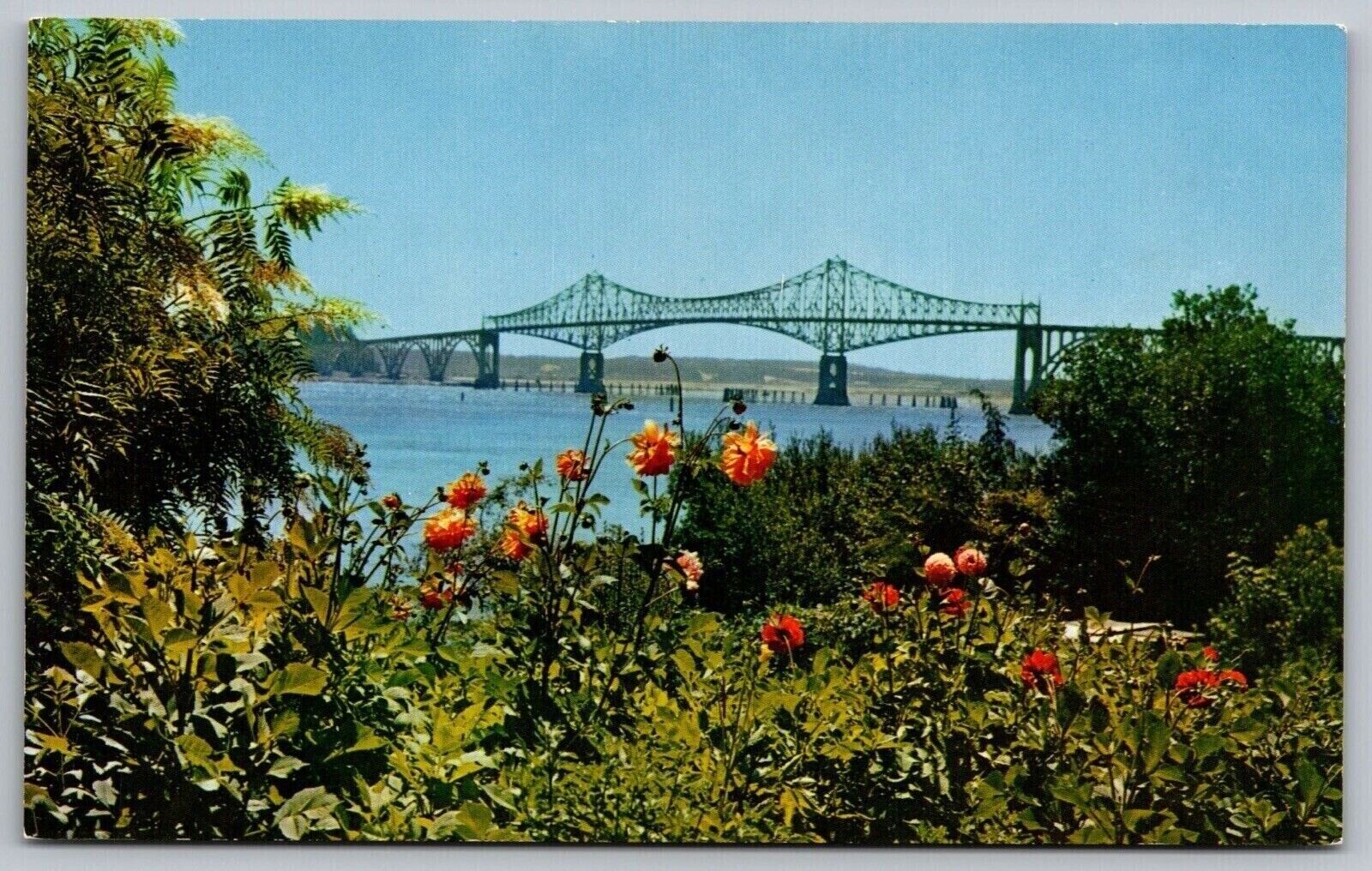 McCullough Bridge Coos Bay Oregon Coast North Bend Waterway Vintage UNP Postcard