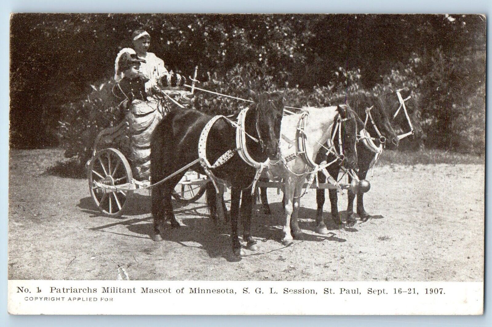 St Paul Minnesota MN Postcard Patriarchs Militant Mascot SGL Session Horses 1910
