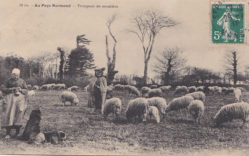 CPA 50 NORMANDY COUNTRIES Norman Shepherds Shepherds Shepherds Sheep & Dogs 1910