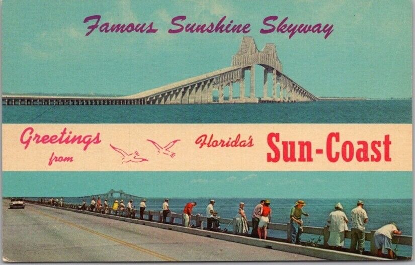 1960s Florida Greetings Postcard \