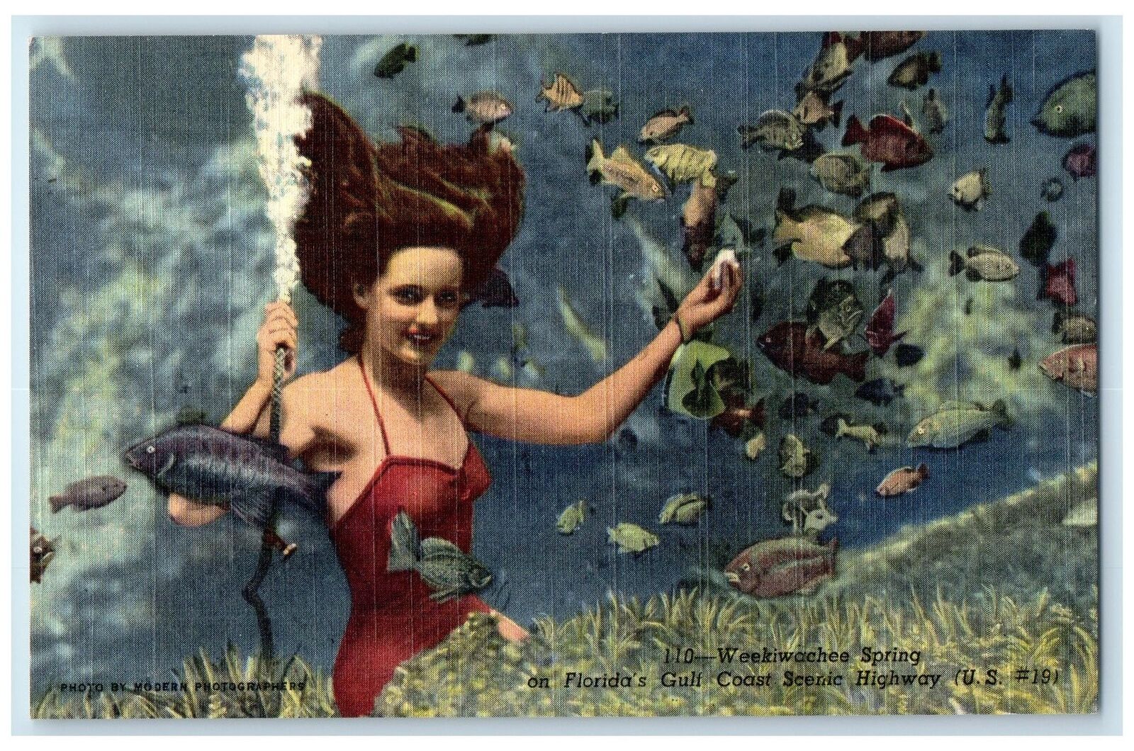 c1940's World's Only Underwater Theatre Weeki Wachee Springs Florida FL Postcard