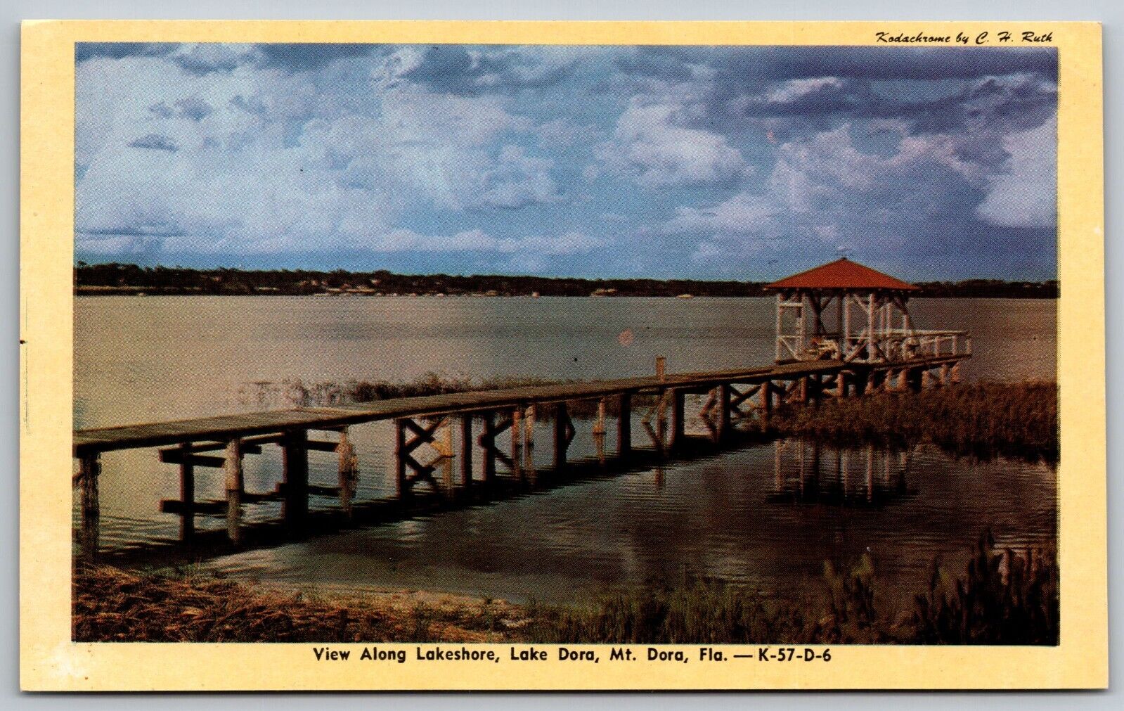 Postcard View Along Lake Shore Lake Dora Mt. Dora Florida *A2740