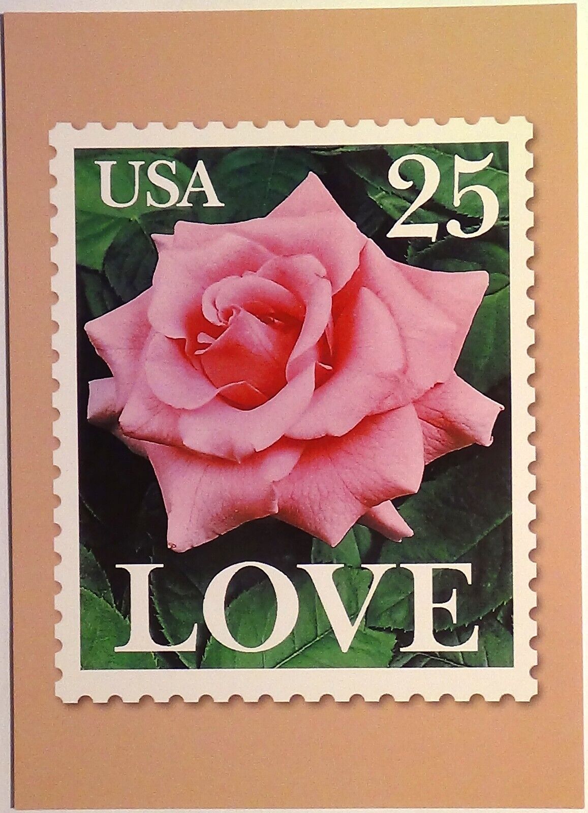 Love USA 25¢ JUMBO Postcard (Rose) NEW ©1998 USPS