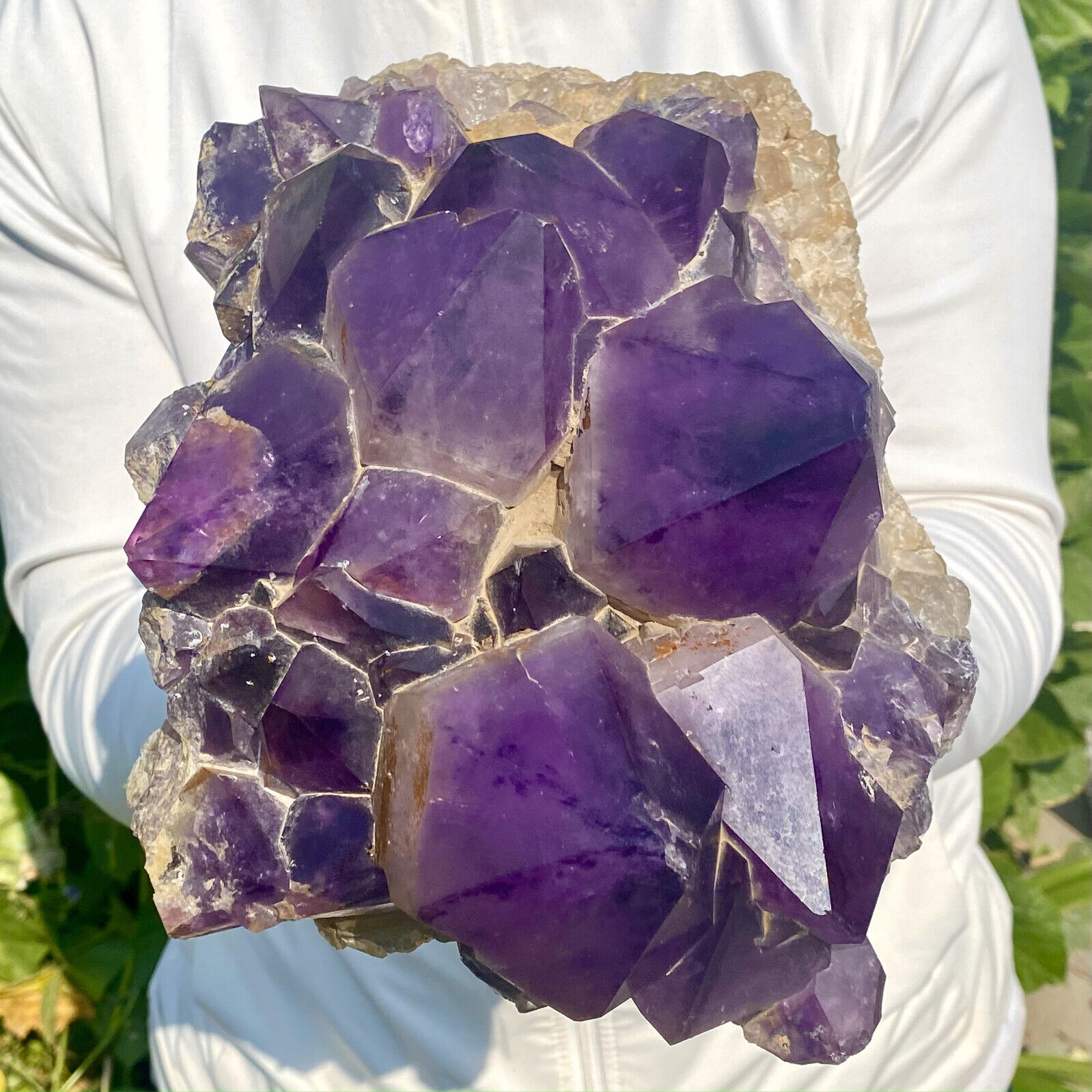13.9LB Natural Amethyst backbone clustercrystal rod point healing therapy