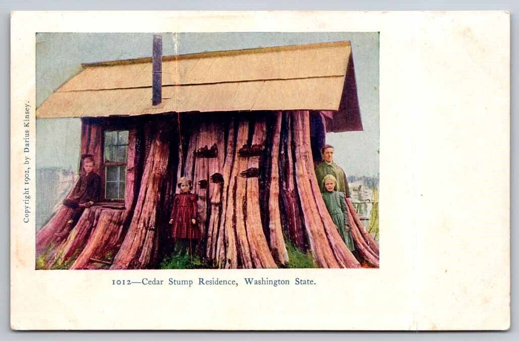 eStampsNet - Cedar Tree Sump House in Washington State c. 1910 Postcard 