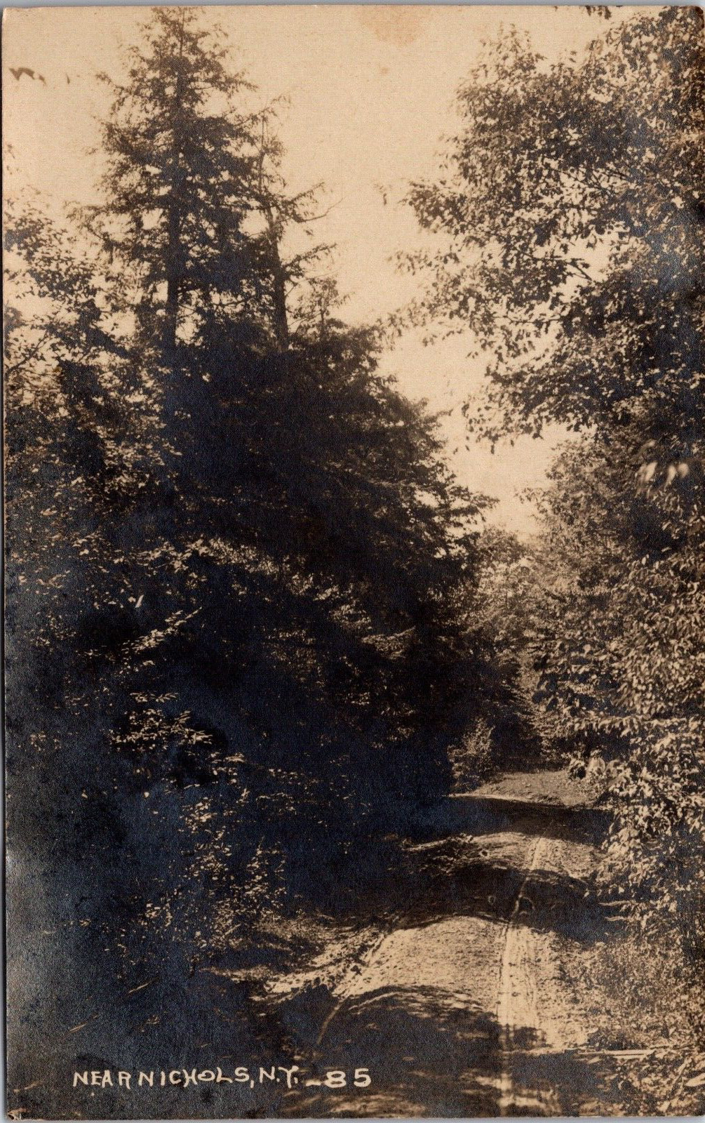 Road Trail Near Nichols New York Posted 1909 Antique RPPC Photo Postcard 9I