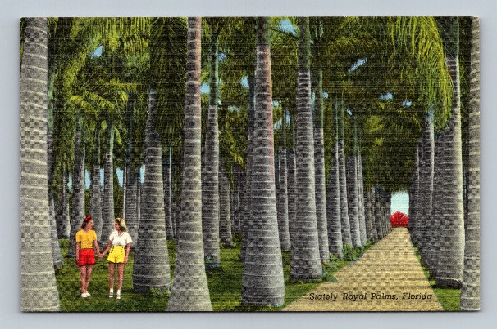 Stately Royal Palms, Florida, FL, Two Girls, 1942 Linen Vintage Postcard