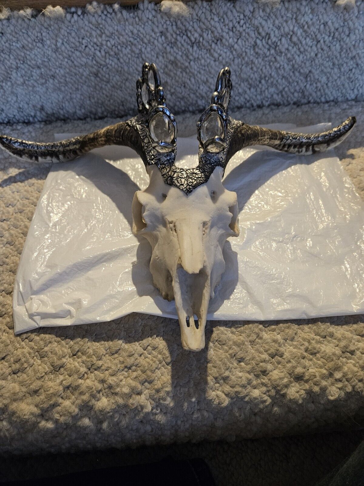 Goat Skull ? Ornate Jeweled Horns  Skull Halloween Prop Resin Display  Decor 19\