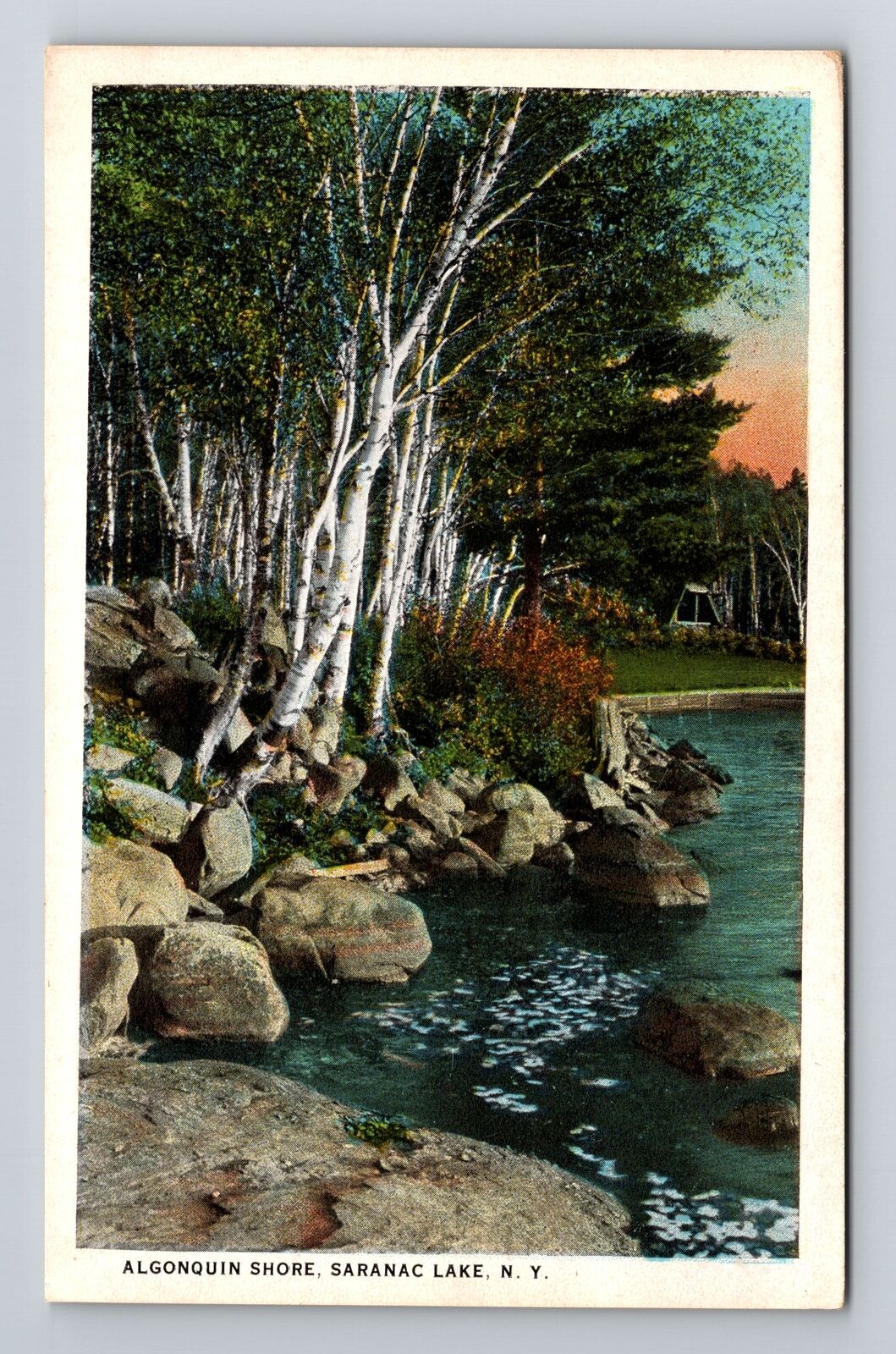 Saranac Lake NY-New York, Algonquin Shore, Antique Vintage Souvenir Postcard