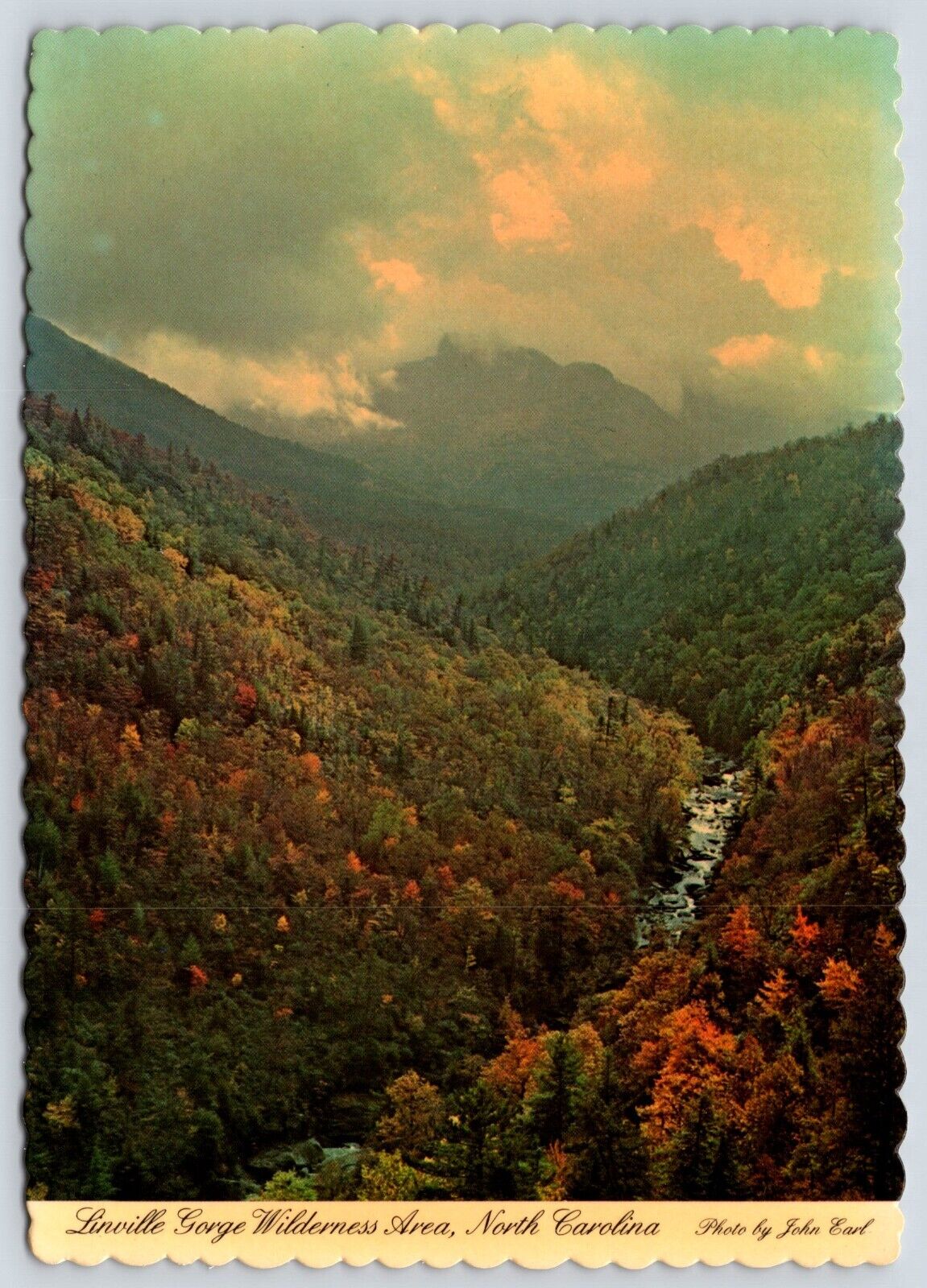 North Carolina Linville Gorge Wilderness Area Vintage Postcard Continental