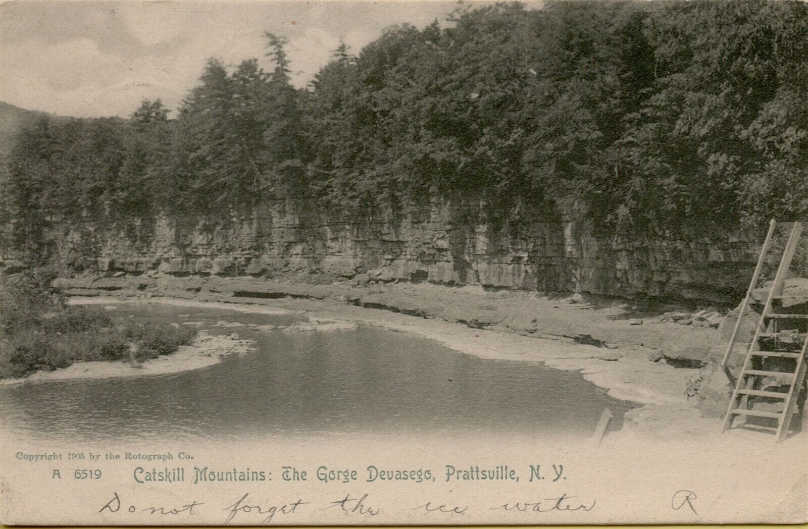 1905 Landscape View Catskill Mtns Gorge Devasego Prattsville NY Postcard D46