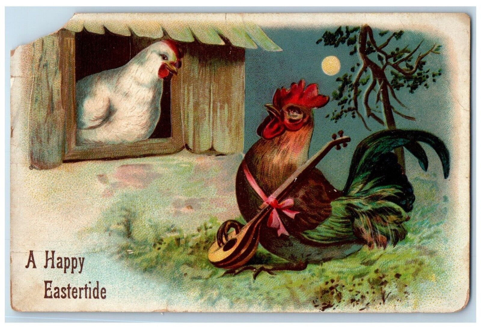 c1910\'s Easter Anthropomorphic Rooster Chicken Serenade Embossed Posted Postcard