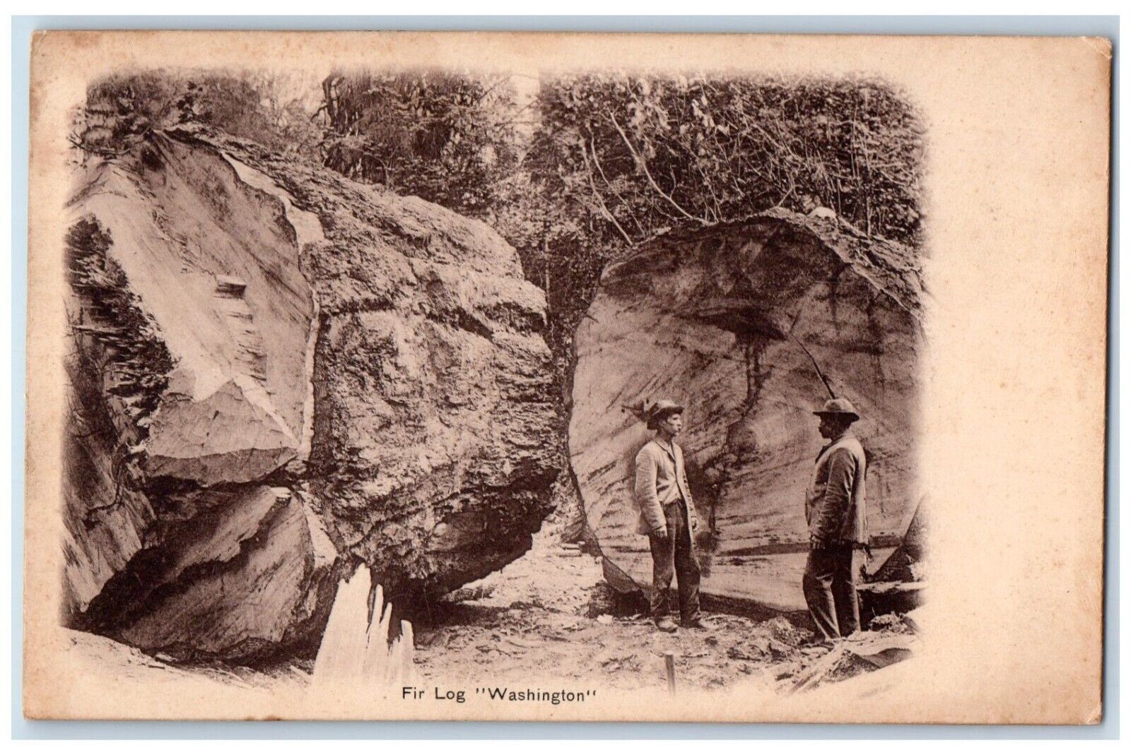 c1905 View Of For Log Washington WA Unposted Antique Postcard