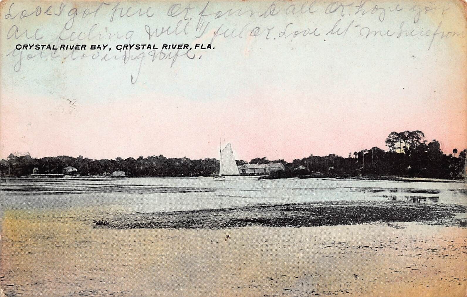 Crystal River Bay Florida West Apopka c1909 Wheeler Homosassa Vtg Postcard A58