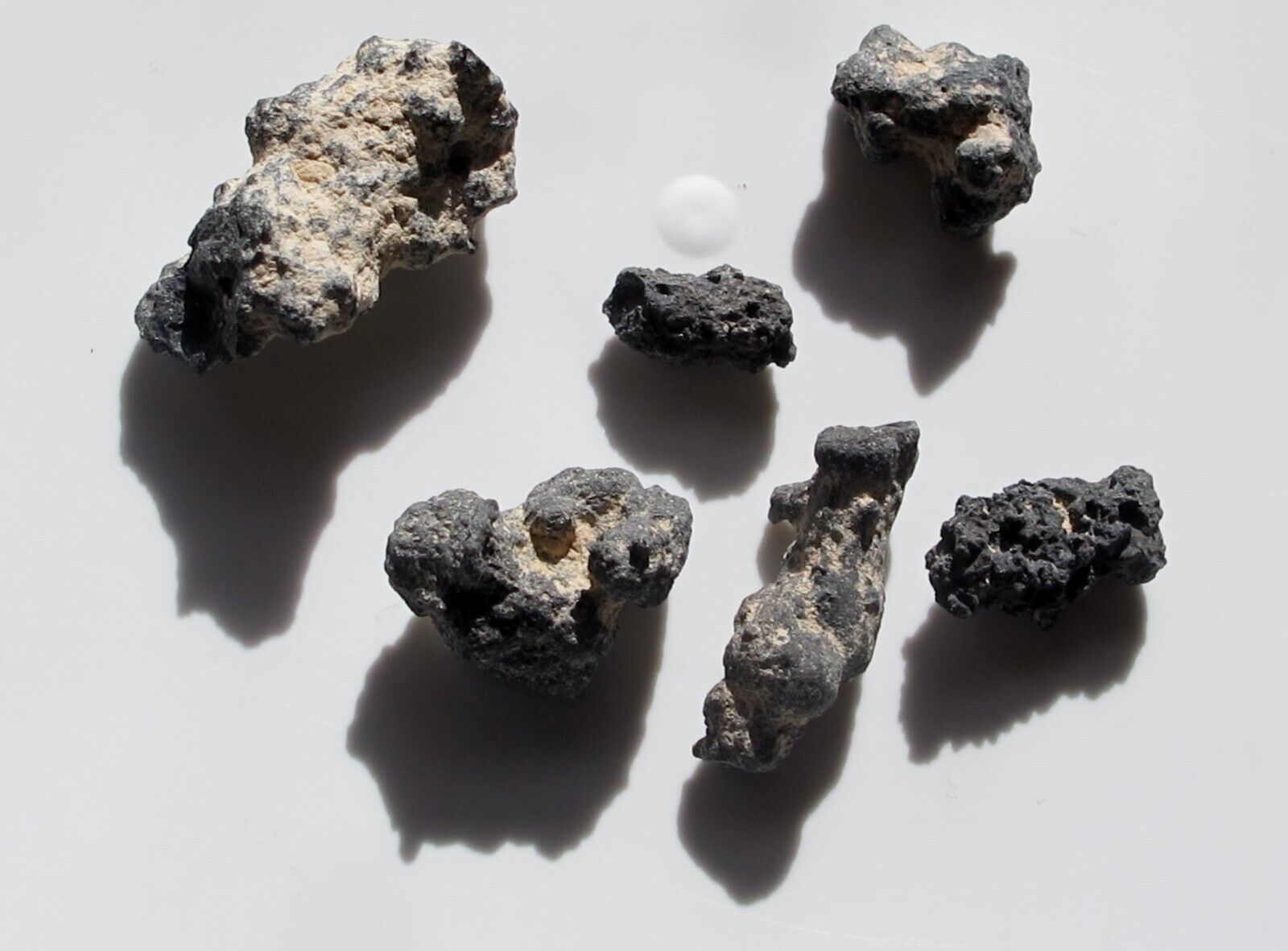 6 Mini Colorado Fulgurite Specimens - Ultimate Transformation Stone - * 42 cts.