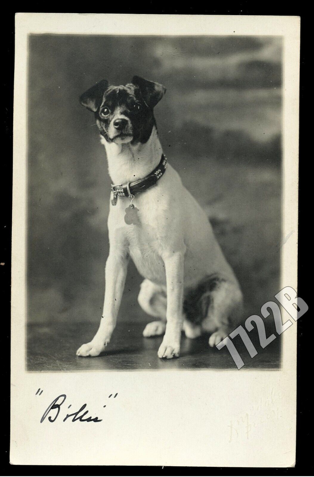 1910s RPPC Alert Jack Russell Dog \