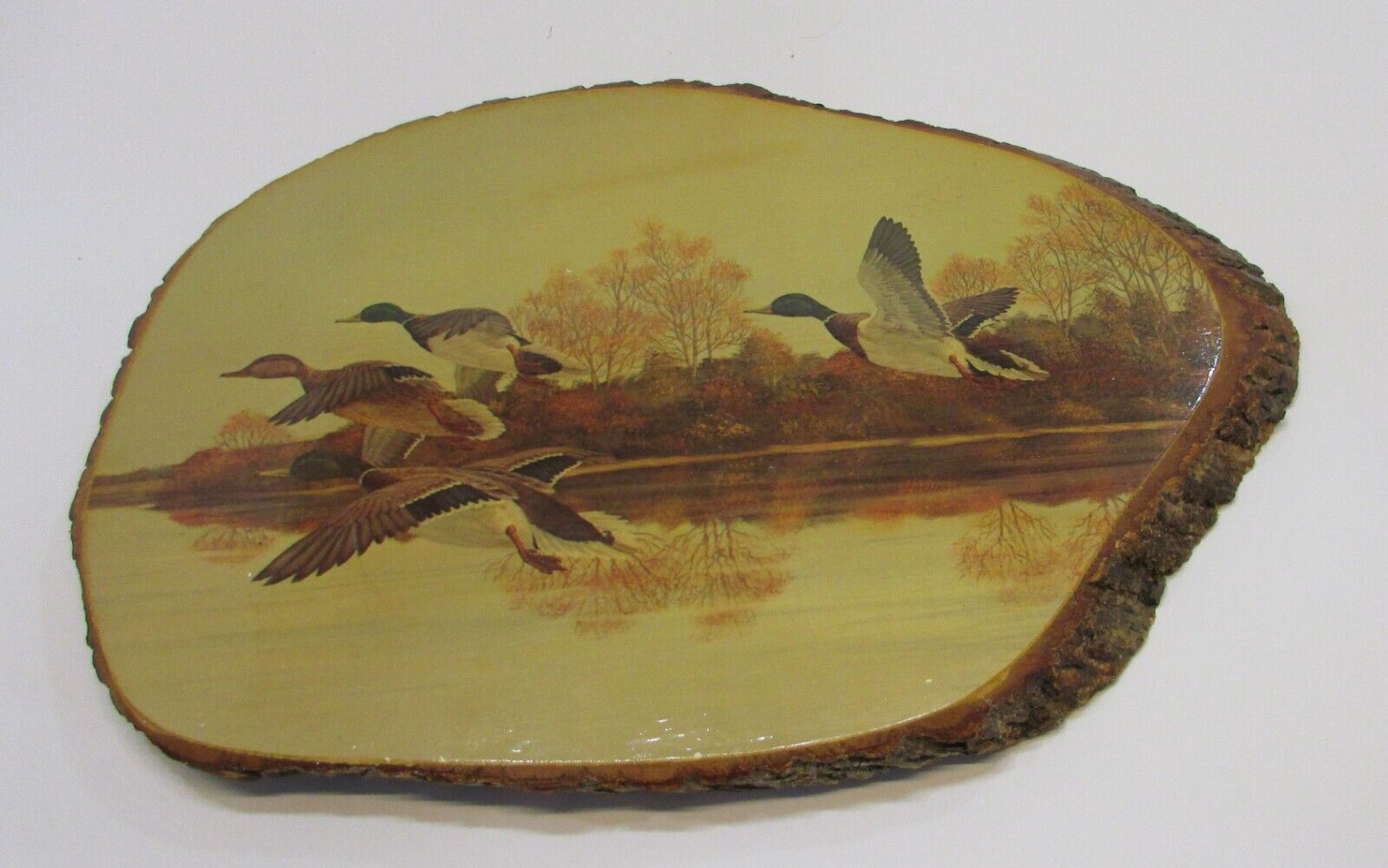 Autumn Mallards Ducks Flying Large 12x17 Vintage Tree Bark Slab Plaque FREE S/H