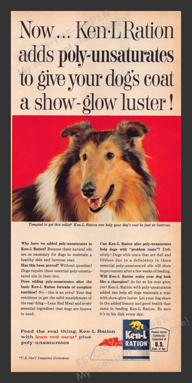 Ken-L Ration Dog Food Collie 1960s Print Advertisement Ad 1963