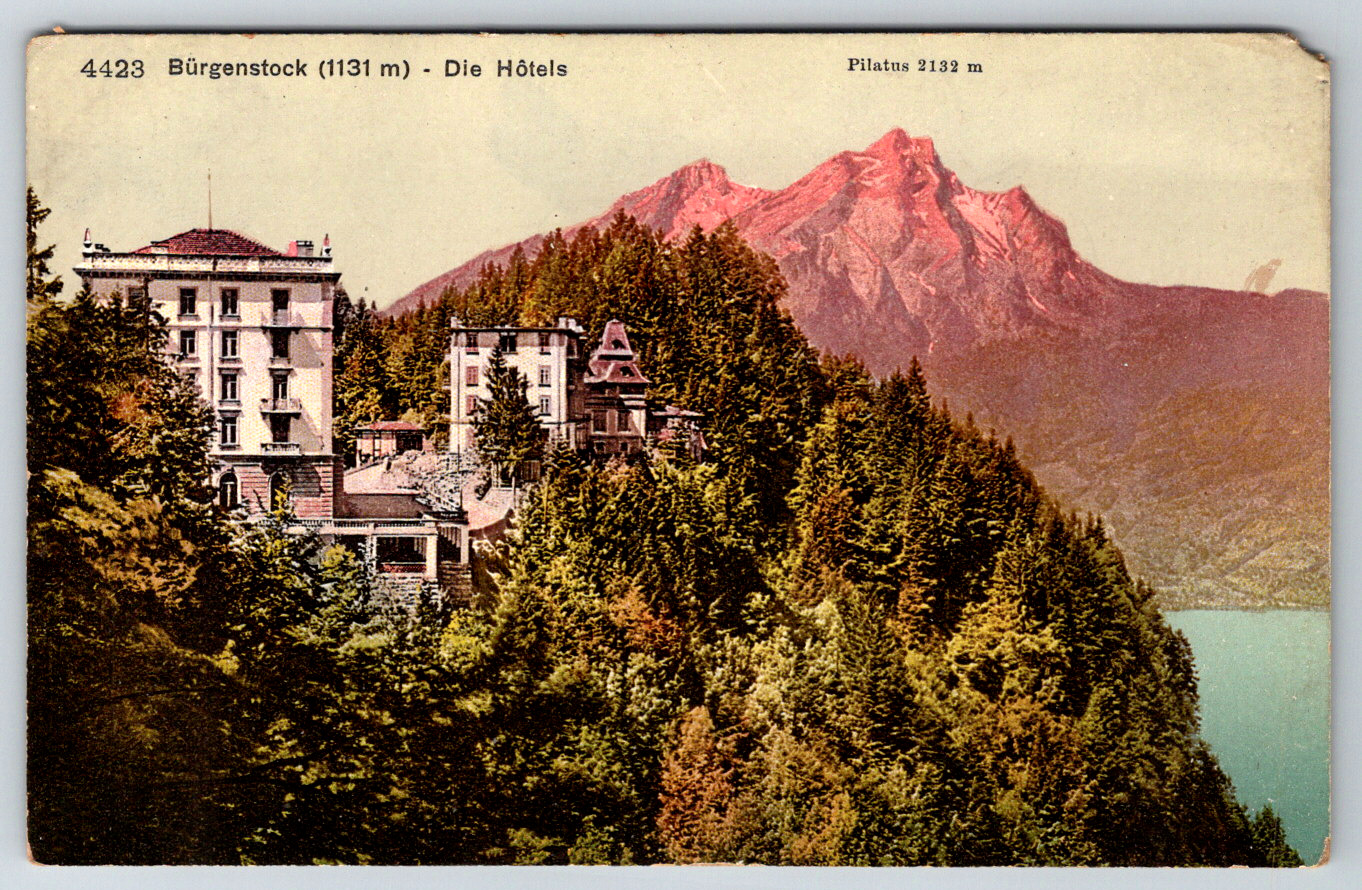 c1910s Burgenstock Die Hotels Antique Postcard