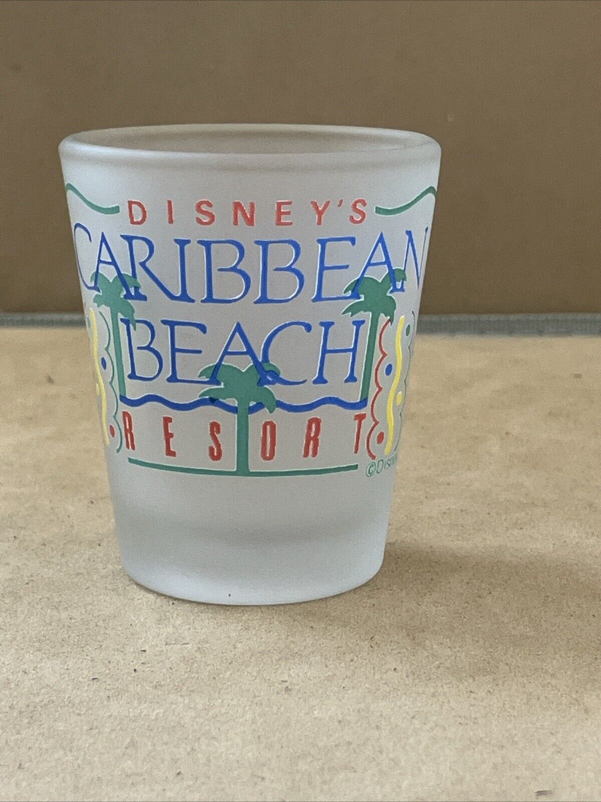 Disney\'s Caribbean Beach Resort Frosted Drinking Glass