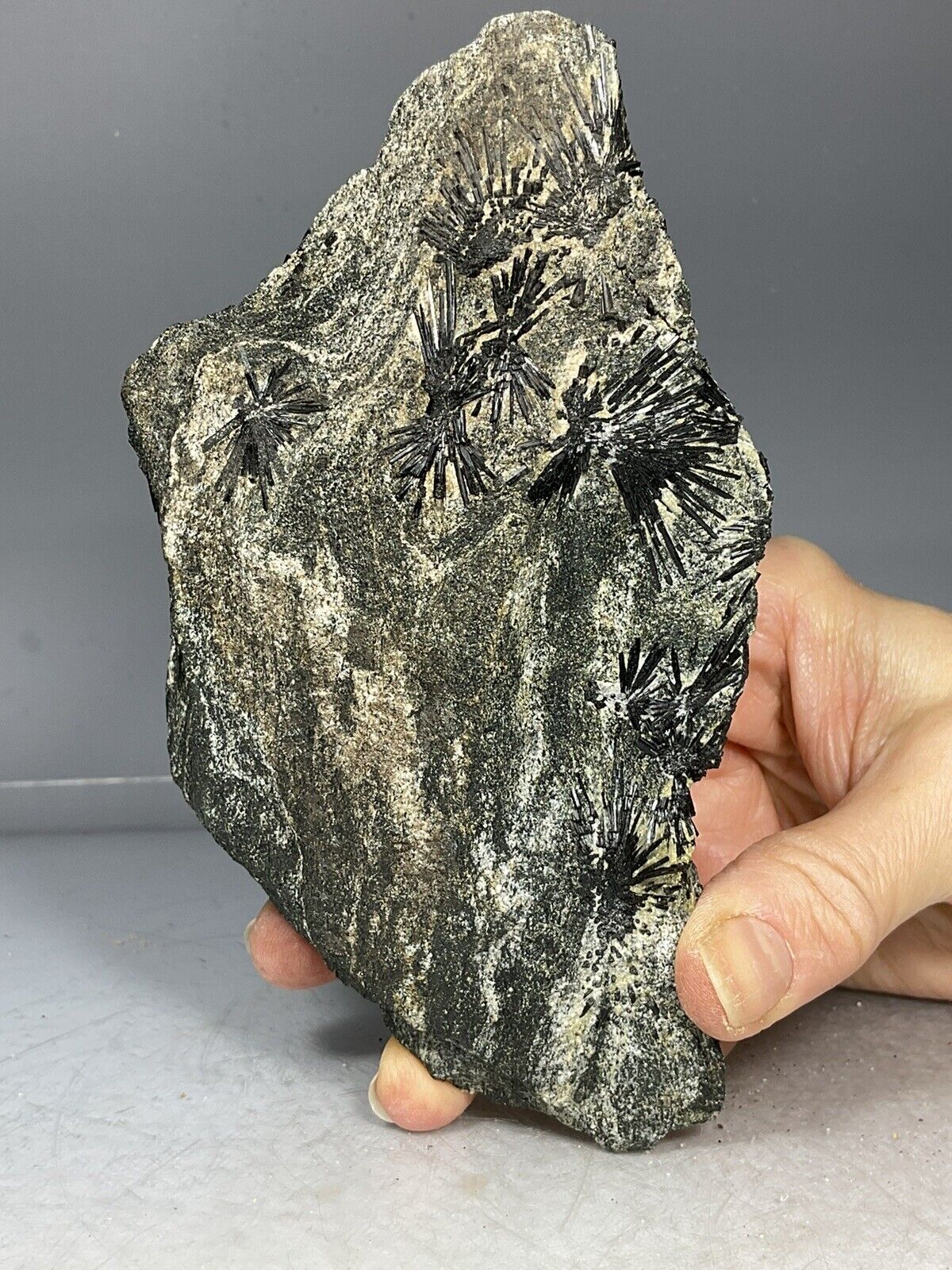 SS Rocks - Holmquistite (Sweden) 1.12lbs