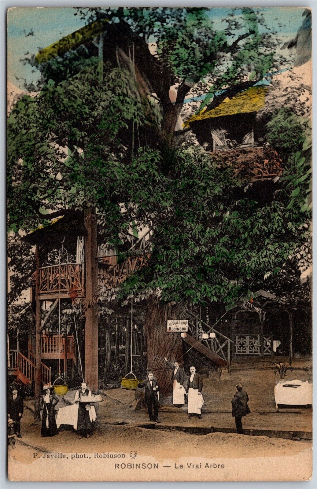 Vtg Robinson France Le Vrai Arbre Treehouse Restaurant Paris 1910s View Postcard