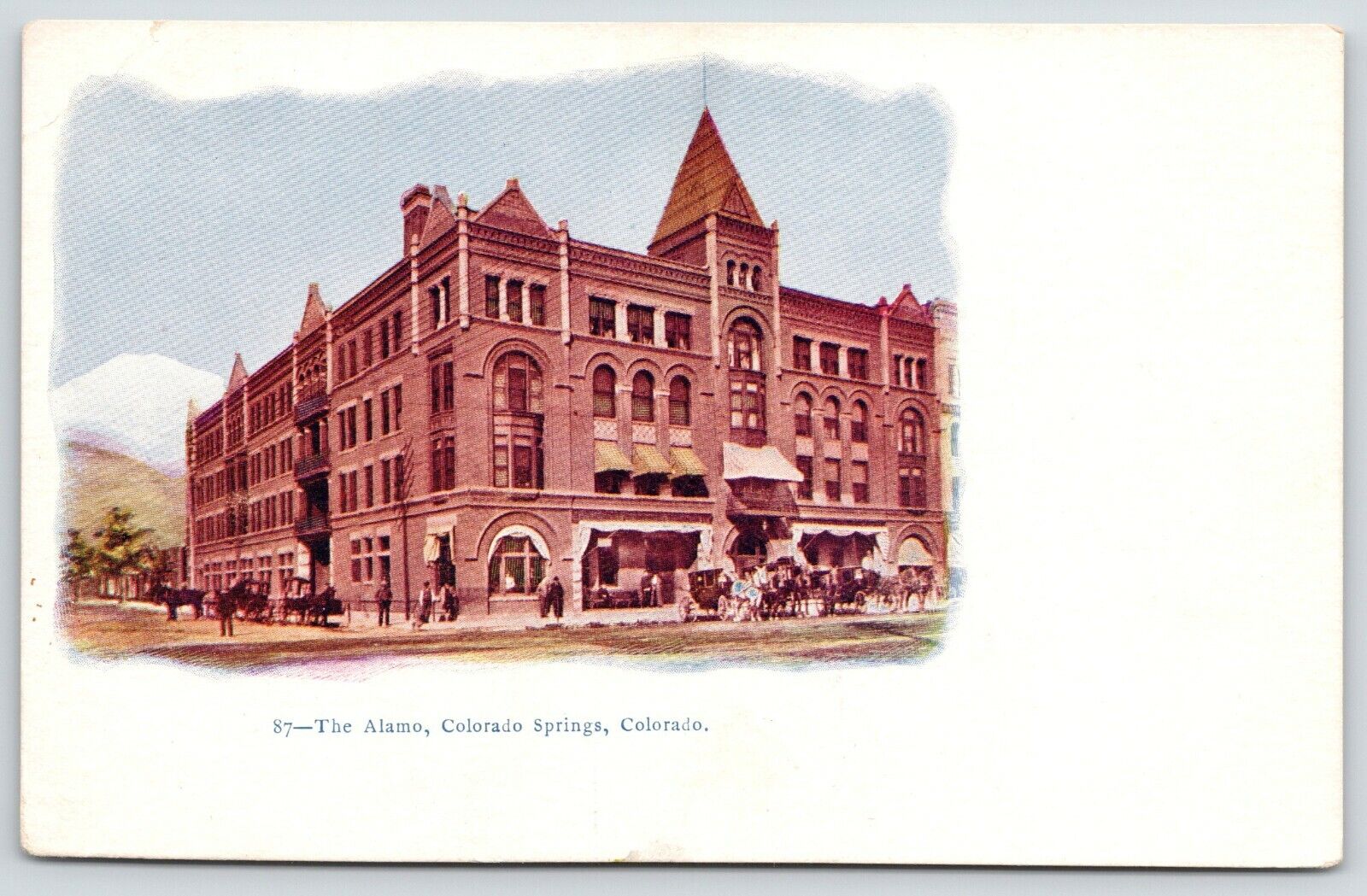 Colorado Springs CO~Alamo Hotel Vignette~Horse Buggies on Tejon Street~c1905