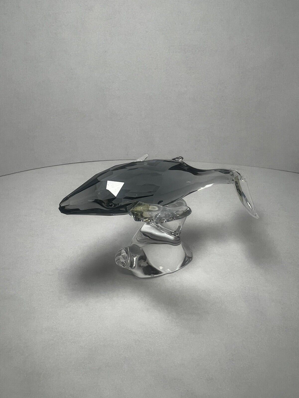Swarovski SCS Young Whale Signature Piece Designer Crystal Figurine