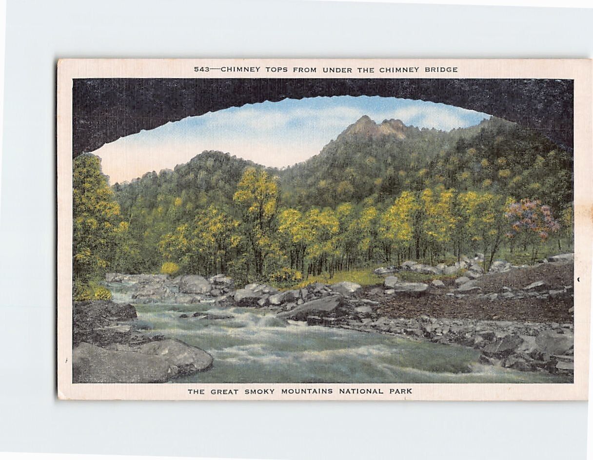 Postcard Chimney Tops From Under The Chimney Bridge Tennessee USA