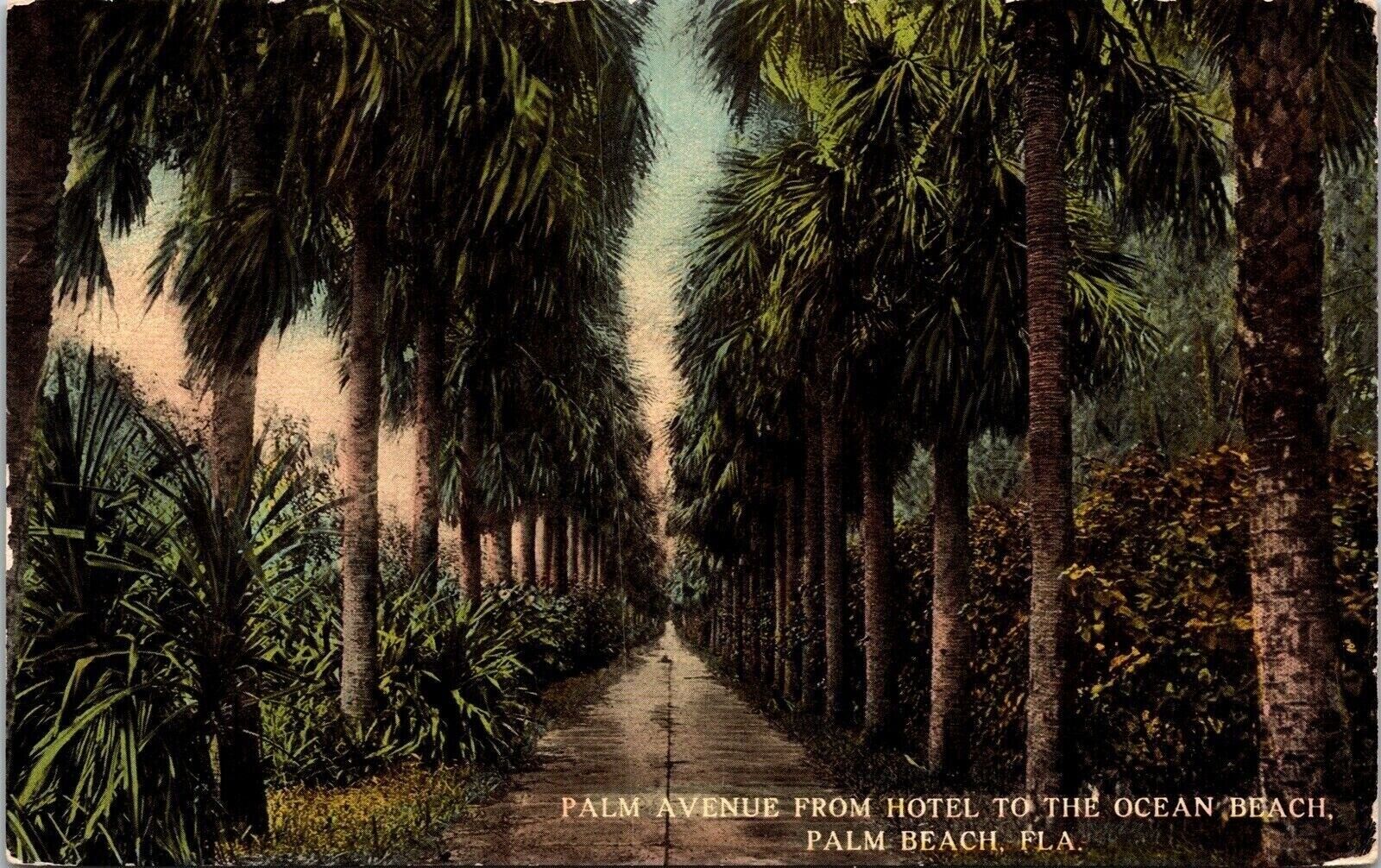 Palm Avenue Hotel Ocean Beach Florida Antique Divided Back Unposted Postcard
