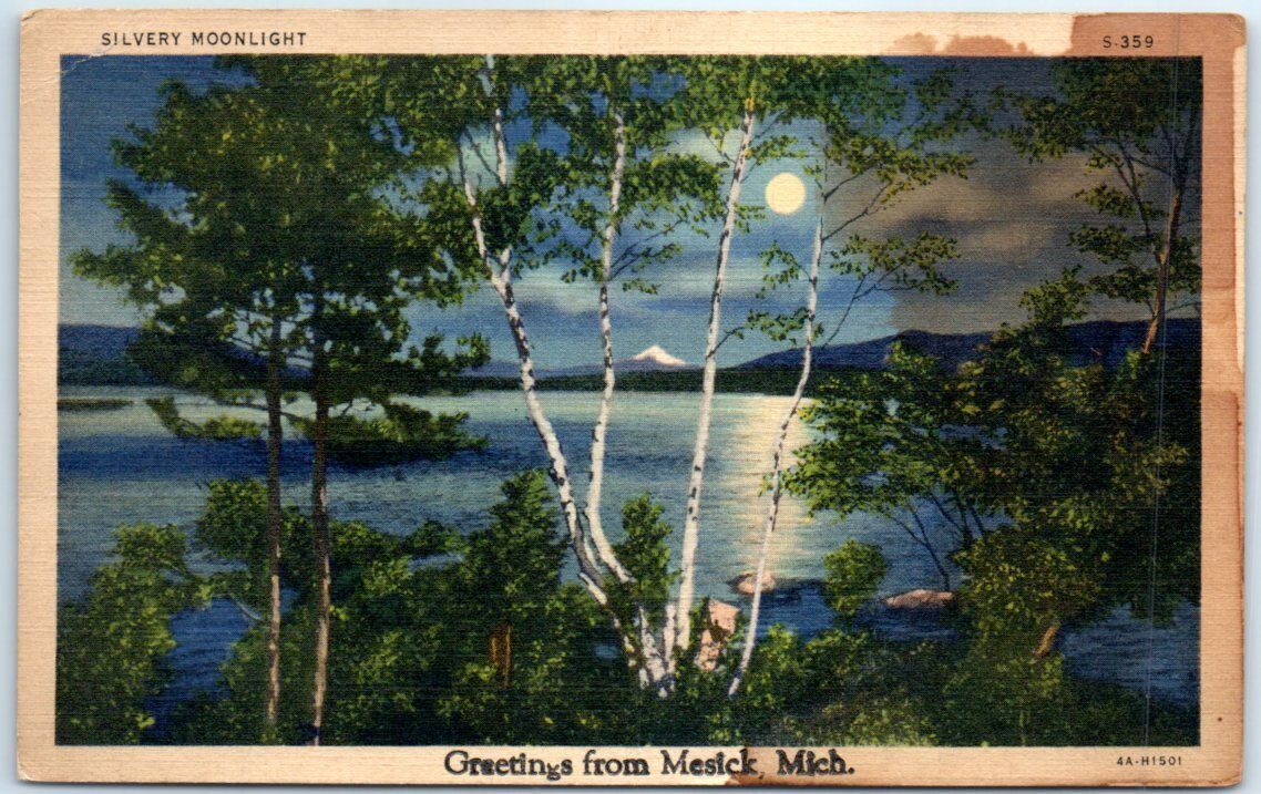 Postcard - Silvery Moonlight - Greetings from Mesick, Michigan, USA