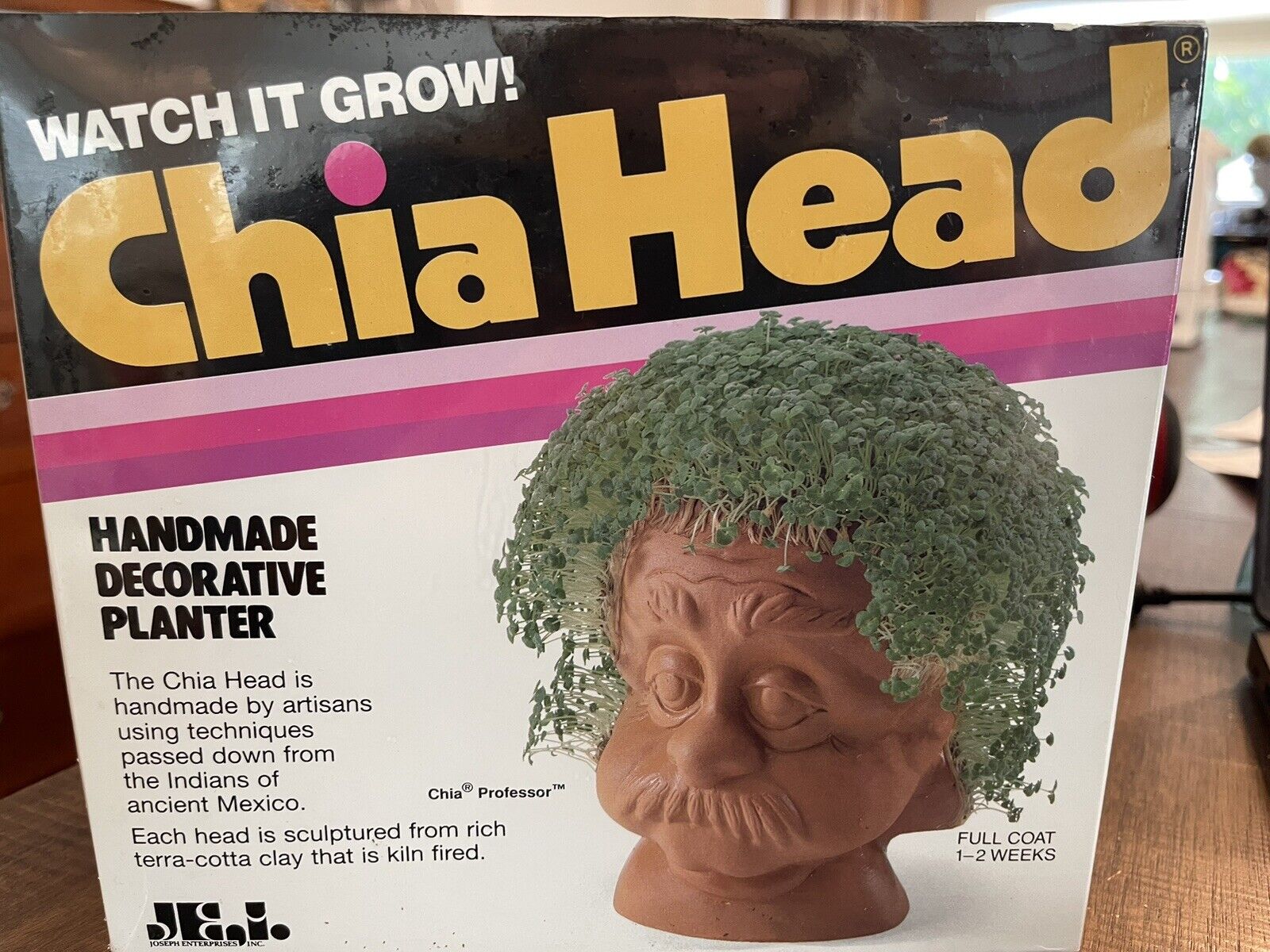 Vintage Chia Head Pet Decorative Planter Guy Herb Growing Grow Kit Original Box