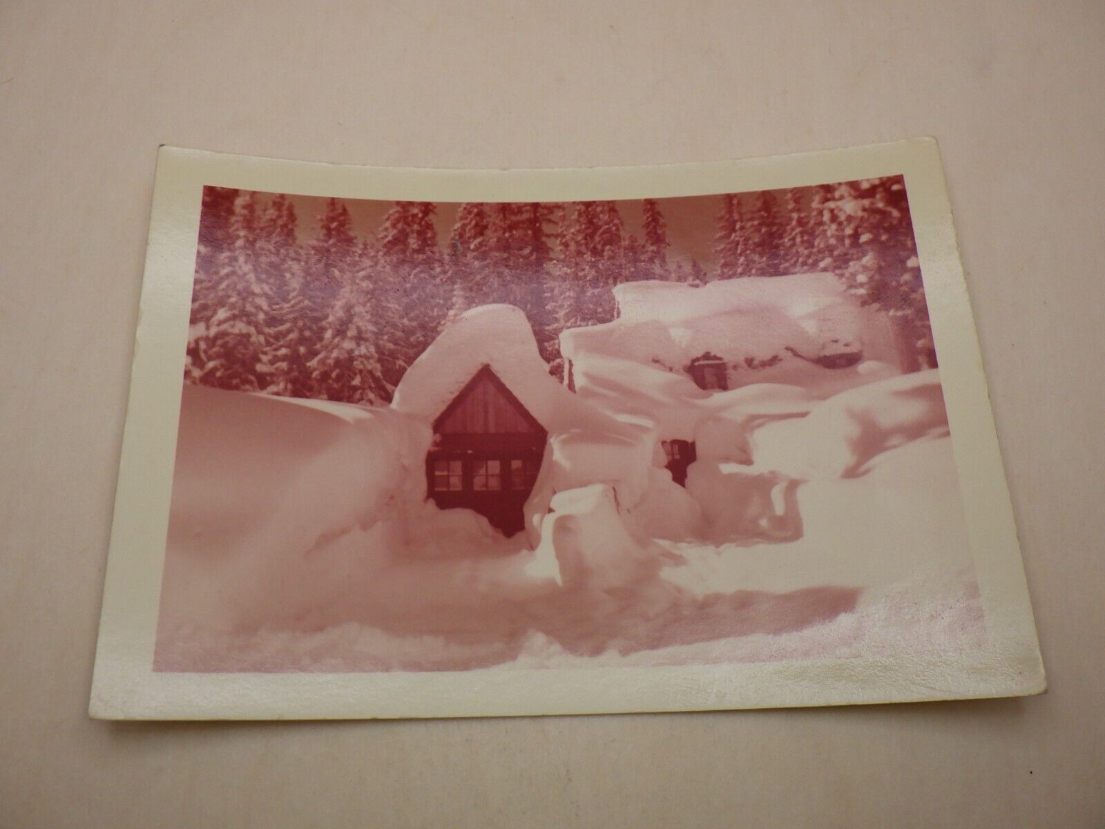 1956 Kodacolor Print Eastman Kodak Company Picture 5x3.5 Inch Snow Cabin Forest