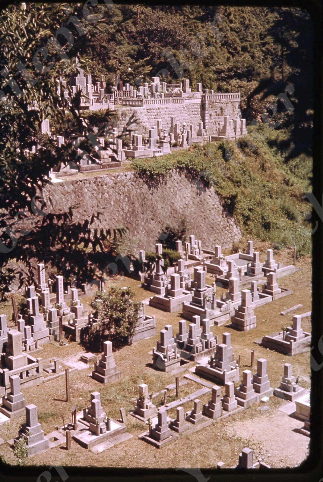 sl67 Original slide 1970\'s   graveyard near Nishi Otani Kyoto 322a