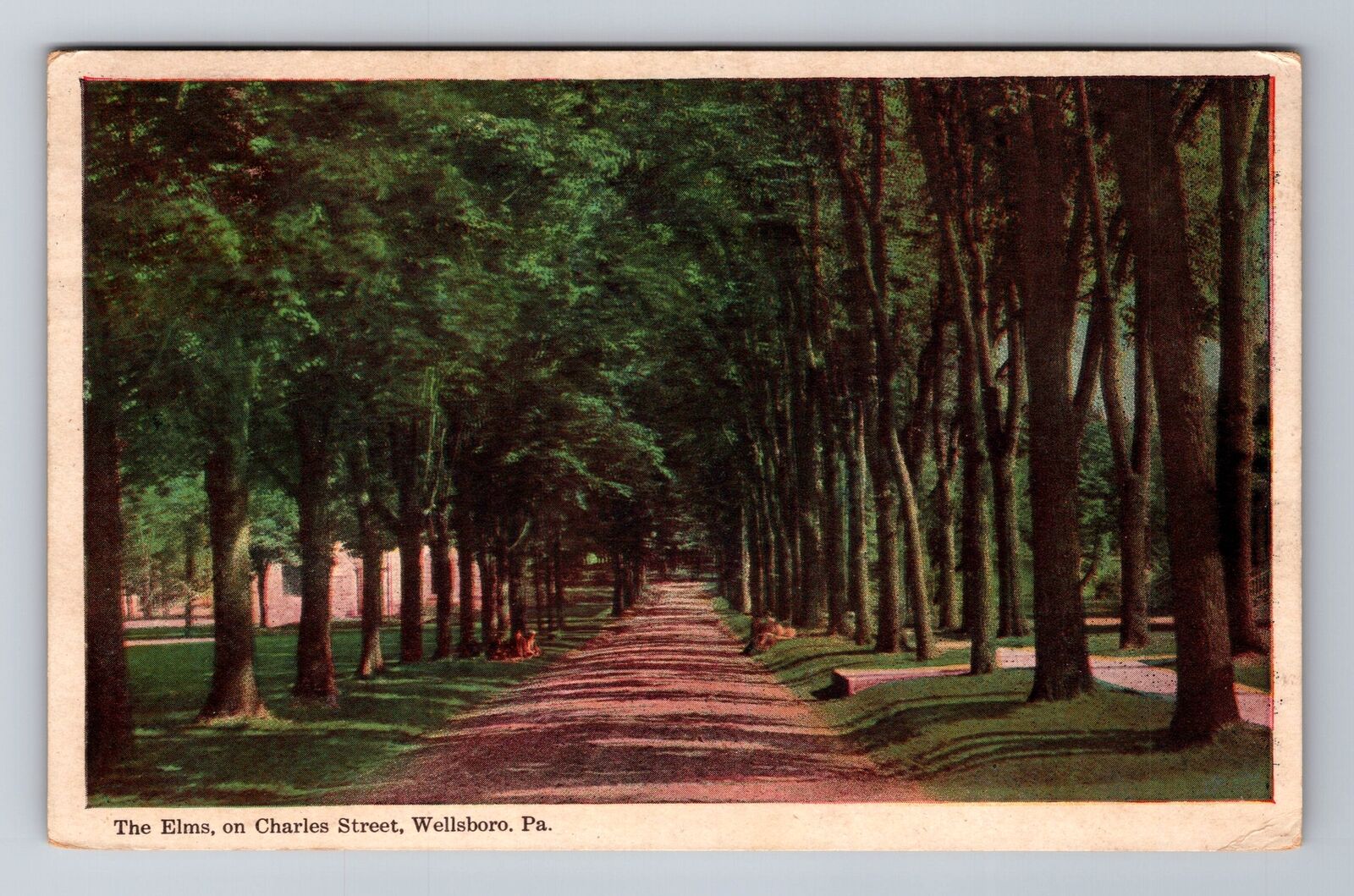 Wellsboro PA-Pennsylvania, The Elms on Charles Street, Vintage Souvenir Postcard