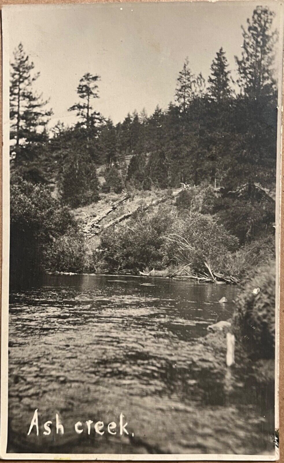 RPPC Ash Creek Antique Real Photo Postcard c1910