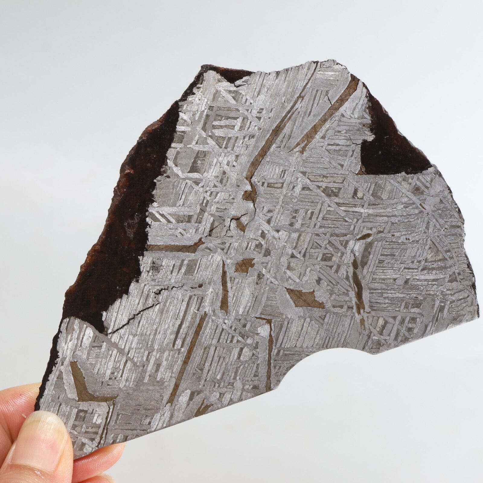 227g Iron meteorite, Muonionalusta iron meteorite slice, Natural Meteorite J335