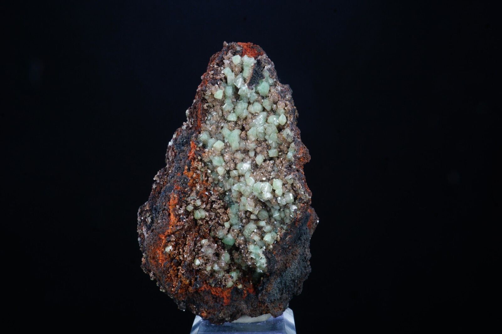 Cuprian Adamite / Rare 9cm Mineral Specimen / San Judas Stope, Ojuela Mine, Mexi