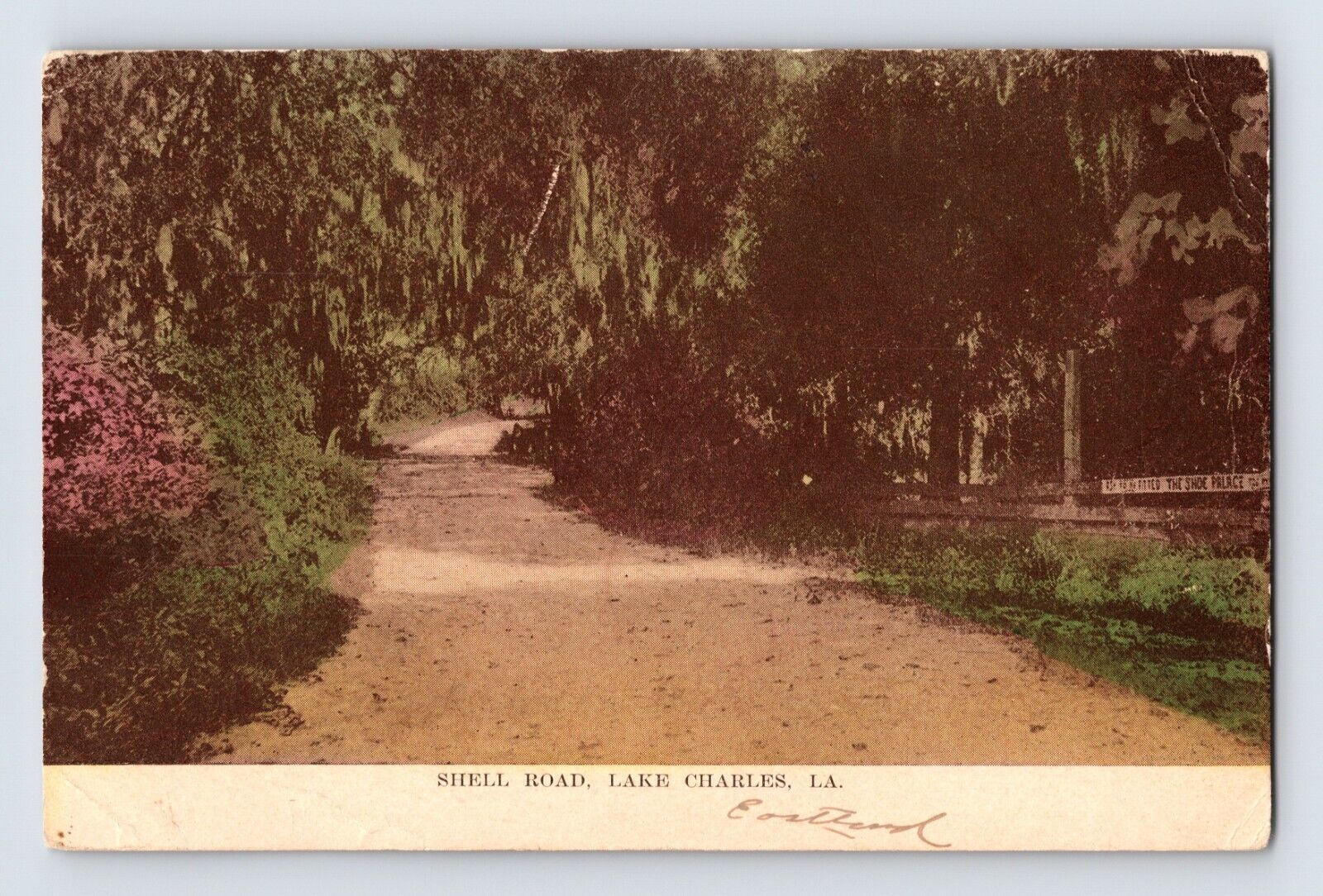 Postcard Louisiana Lake Charles LA Shell Road 1910s Unposted Divided Back