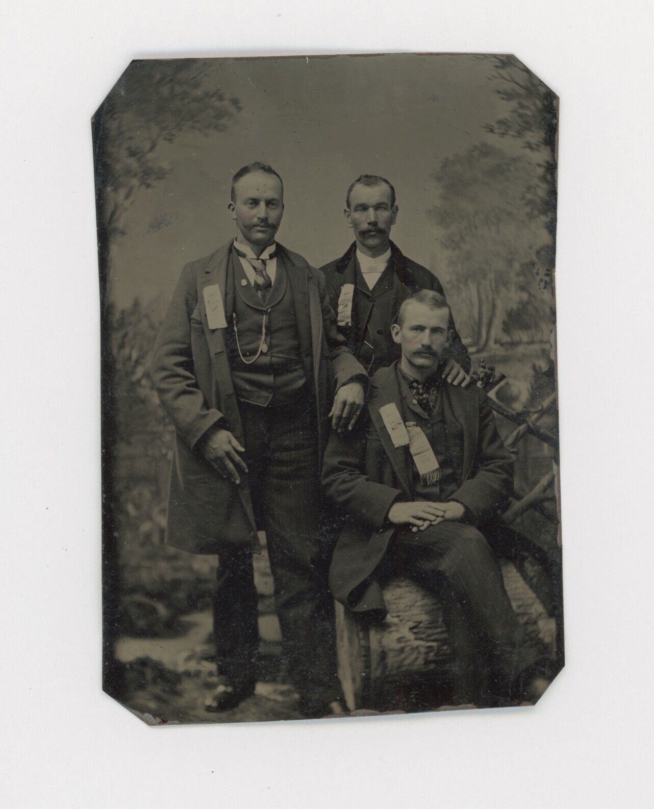 1870\'s-1880\'s TINTYPE THREE MEN WEAR SILK GRANGE RIBBONS 3 9/16\