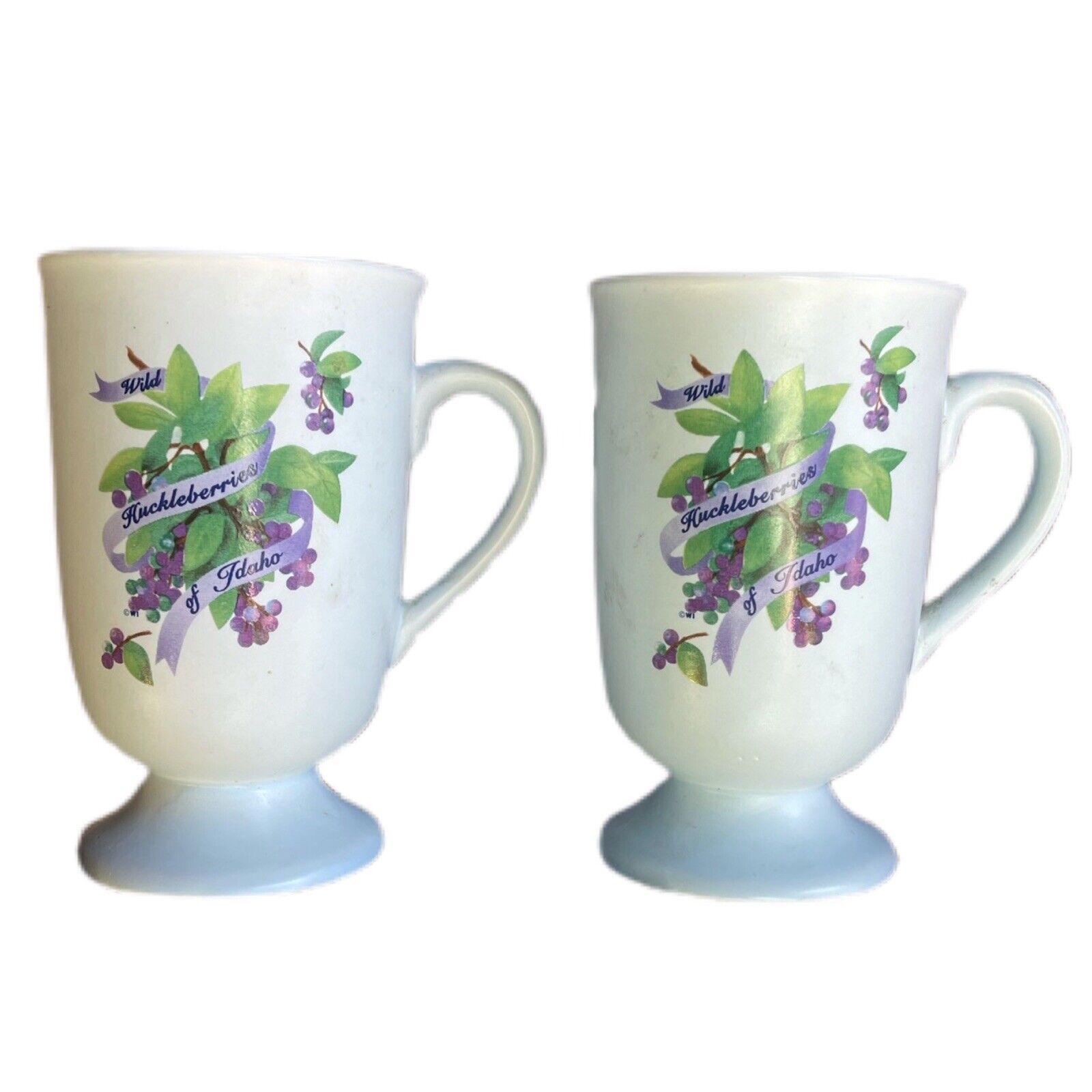 Vintage Ceramic Irish Coffee Latte Mugs Wild Huckleberries of Idaho Pair Set Two