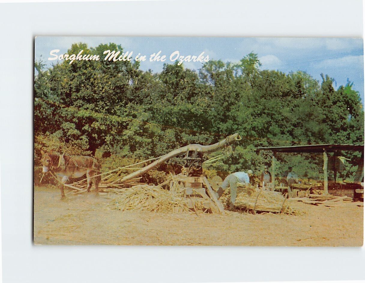 Postcard Sorghum Mill in the Ozarks