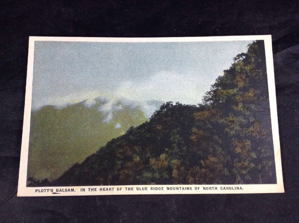 Plott Balsams North Carolina Blue Ridge Mountains Vintage Color Postcard Unpost